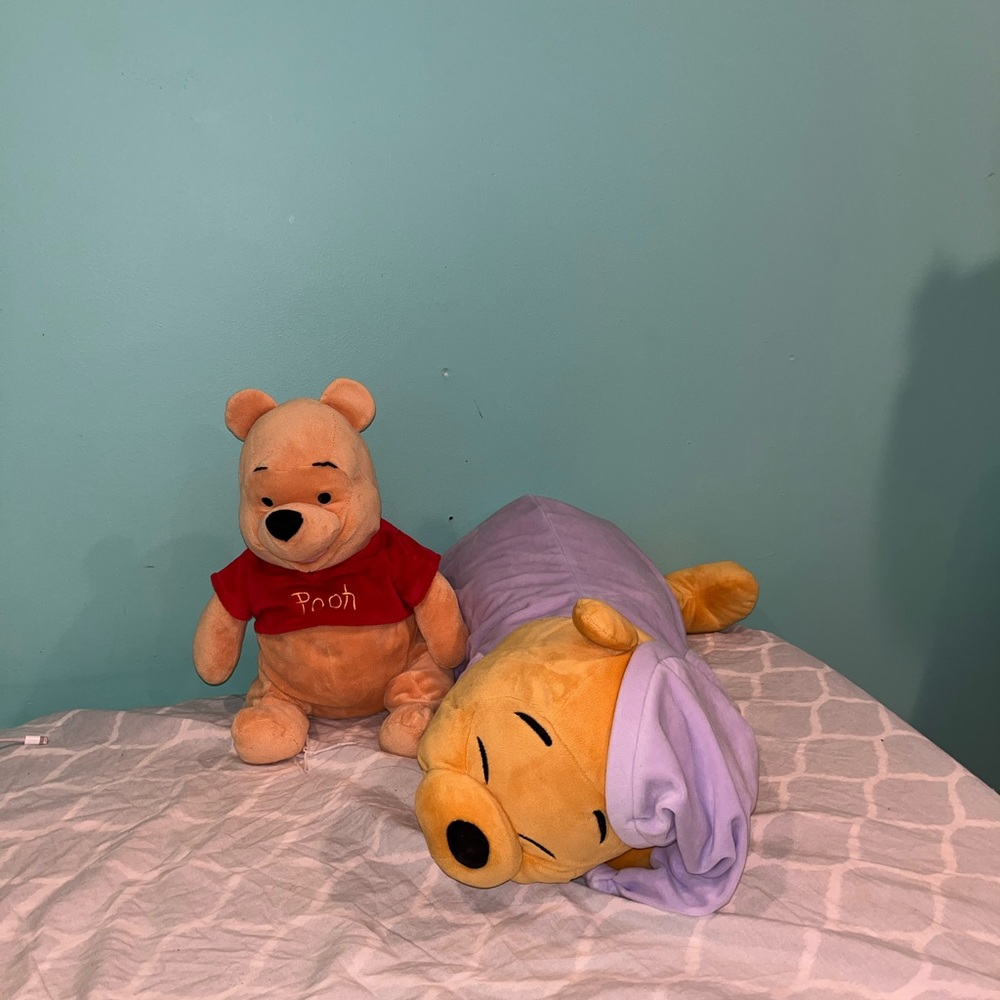 Winnie the Pooh stuffed animals duo